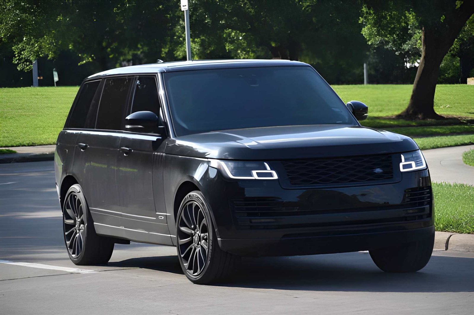 VIP cars